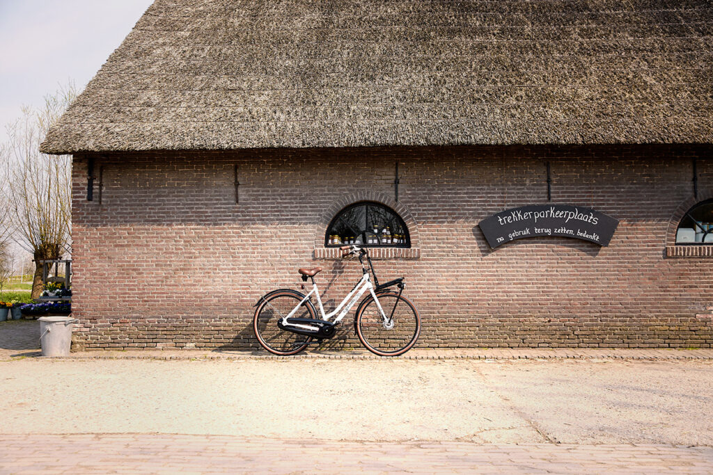 Mythos Hollandrad Gazelle Miss Grace