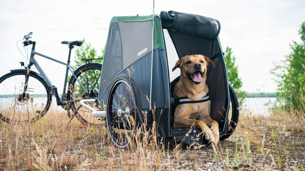 Croozer Dog Hund frontal