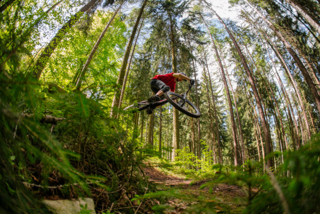 Verschiedene Mountainbike-Typen: Enduro