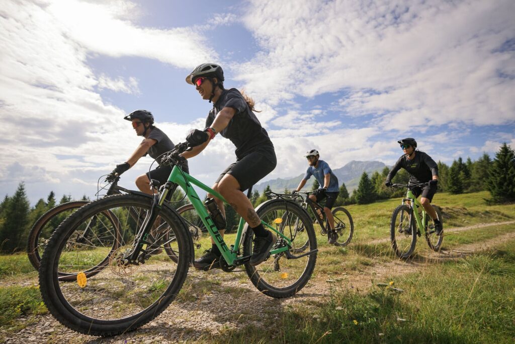 Die Cube AIM-Modelle im Vergleich