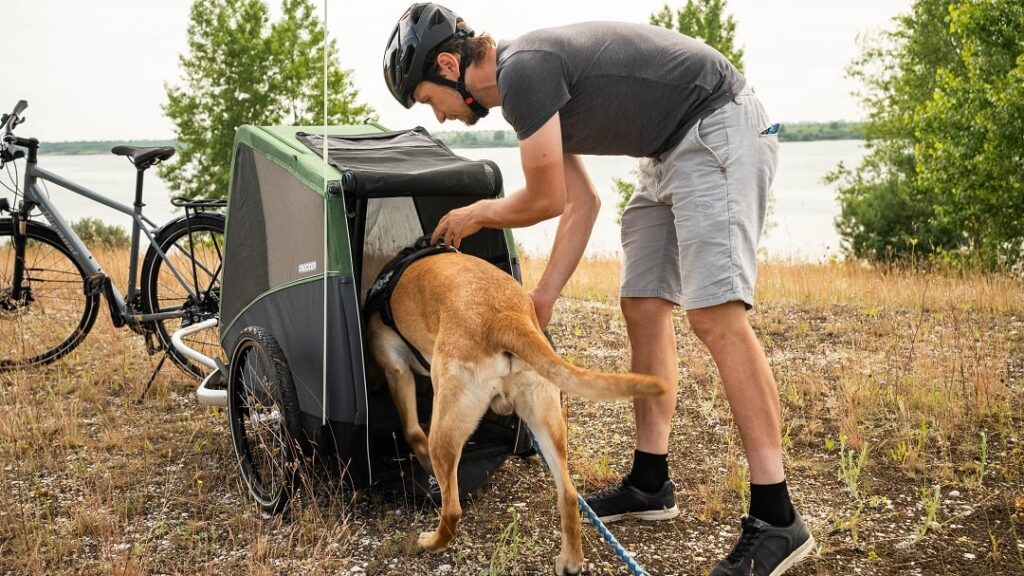 Croozer Dog Einstieg