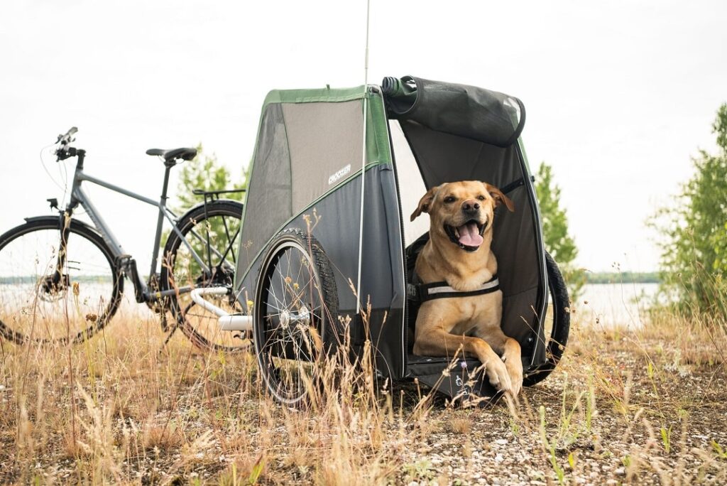Lastenfahrrad vs. Fahrradanhänger – Welche Transportmöglichkeit passt zu mir?