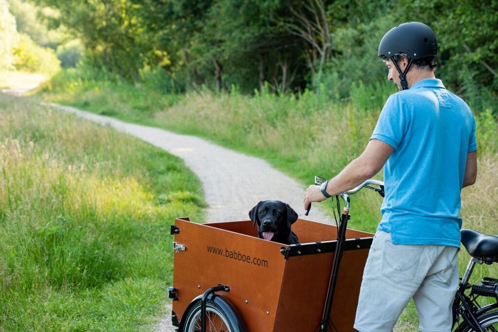 Lastenräder_Lucky Bike_Babboe_Dog