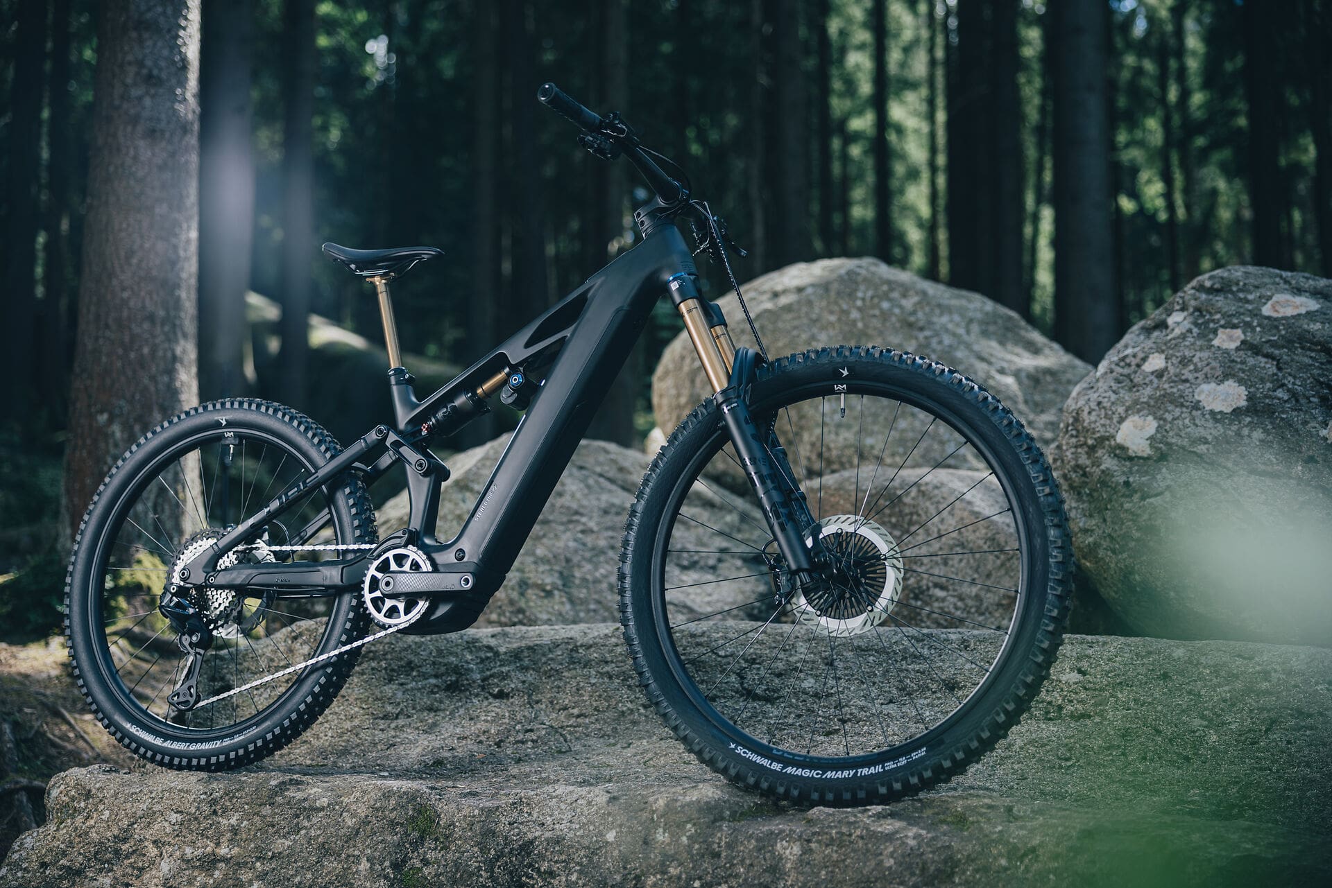 Seitenansicht des Cube Stereo Hybrid One77 HPC AT 800 vor Felsen im Wald