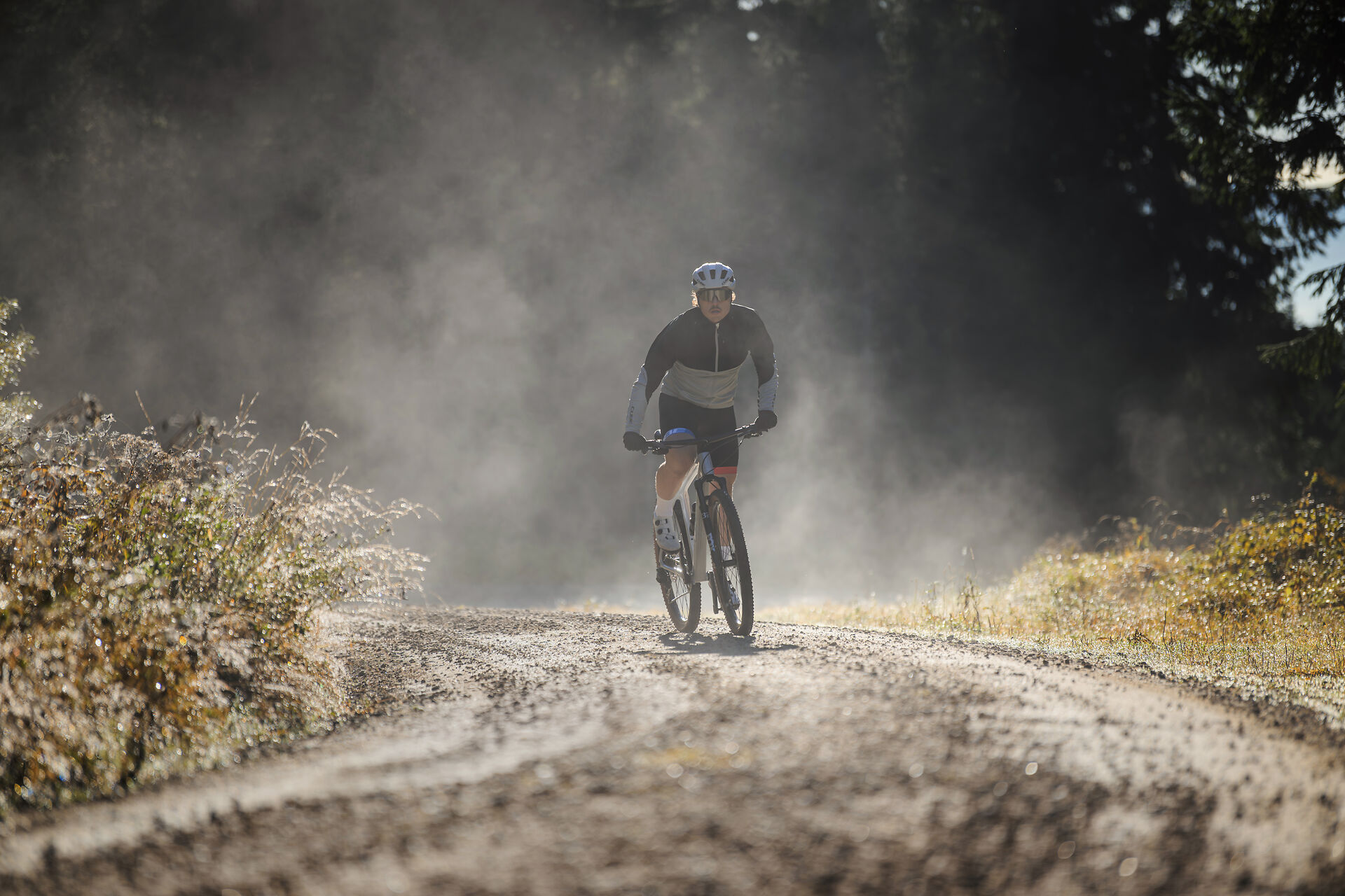 Mountainbiker fährt mit dem Cube Reaction C:62 eine staubige Waldstrecke der Kamera entgegen